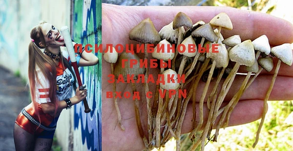хмурый Горнозаводск