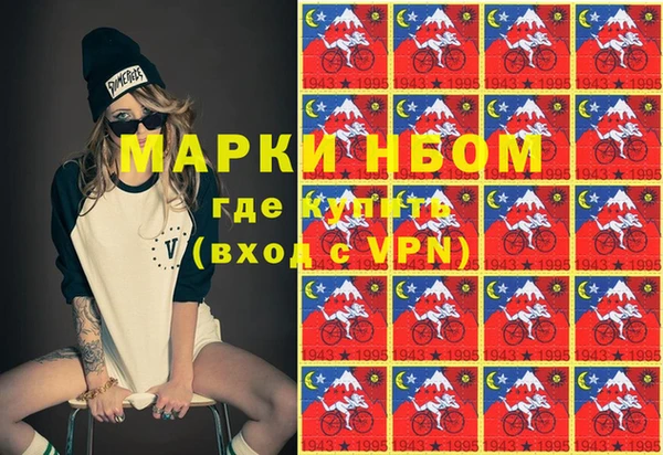 дмт Тайга