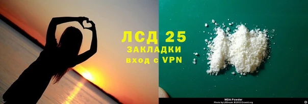 дмт Тайга