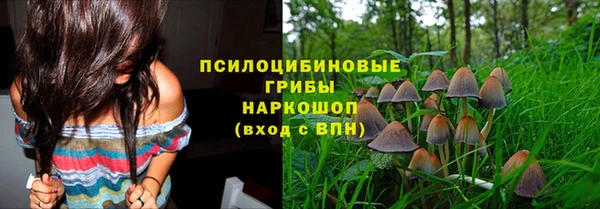 хмурый Горнозаводск