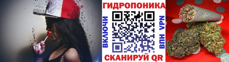 МАРИХУАНА ГИДРОПОН  Десногорск 